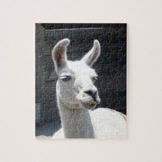 Quebra-cabeça de sorriso do lama