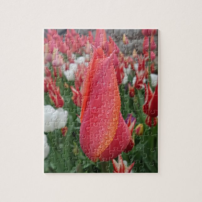 Quebra-cabeça de Tulipas (Vertical)