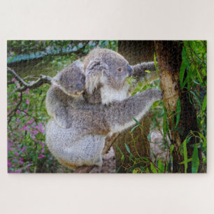 quebra-cabeça de urso koala