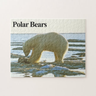 Quebra-cabeça de Urso Polar 10