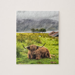 Quebra-cabeça de Vaca Highland