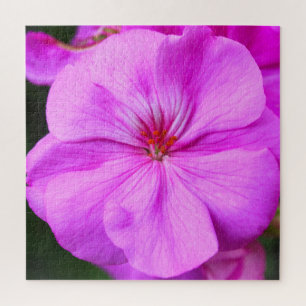 Quebra-cabeça de vidro leve e roxo Geranium
