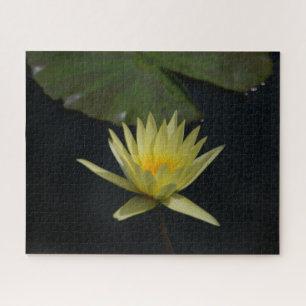 Quebra-cabeça de Waterlily Jigsera Amarela