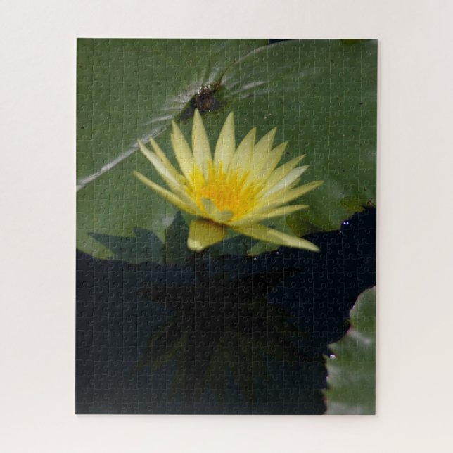 Quebra-cabeça de Waterlily Jigsera Amarela (Vertical)