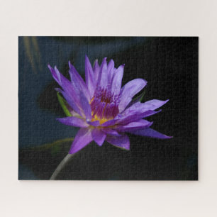 Quebra-cabeça de Waterlily Jigsera Roxo