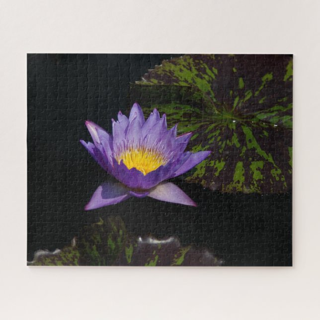 Quebra-cabeça de Waterlily Jigsera Roxo (Horizontal)