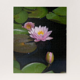 Quebra-cabeça de Waterllírios Rosa