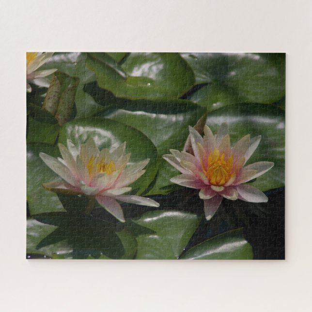 Quebra-cabeça de Waterllírios Rosa (Horizontal)