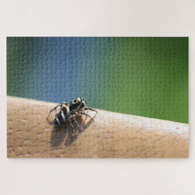 Quebra-cabeça de Zebra Spider (Horizontal)