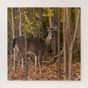 Quebra-cabeça Deer in Woods