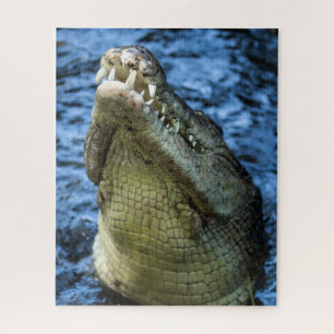 Quebra-cabeça Dentes De Crocodilo Água
