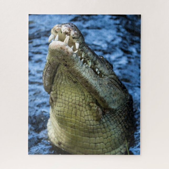Quebra-cabeça Dentes De Crocodilo Água (Vertical)