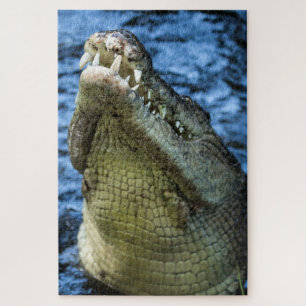 Quebra-cabeça Dentes De Crocodilo Água