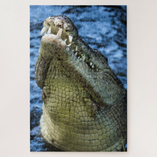 Quebra-cabeça Dentes De Crocodilo Água (Vertical)