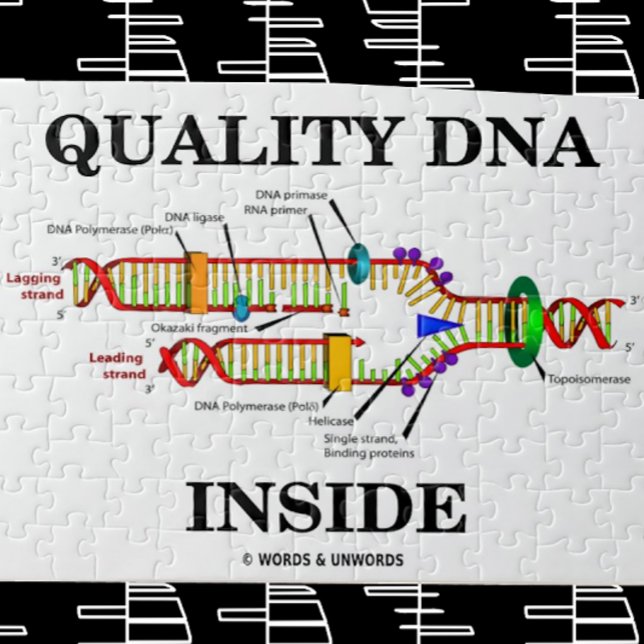 Quebra-cabeça Dentro de DNA de qualidade (replicação de DNA) (Jigsaw puzzle for anyone with "Quality DNA Inside")