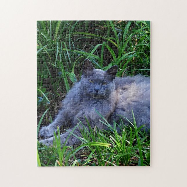 Quebra-cabeça Desafiador Foto de Gato Maine Coon Sgolis Gray (Vertical)