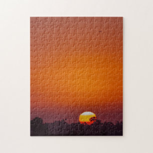 Quebra-cabeça Desafiando Árvores Laranja Sunset San Diego