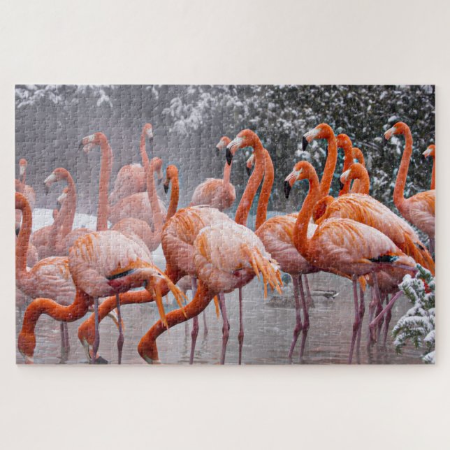 Quebra-cabeça Desafiando Flamingos Foto  (Horizontal)