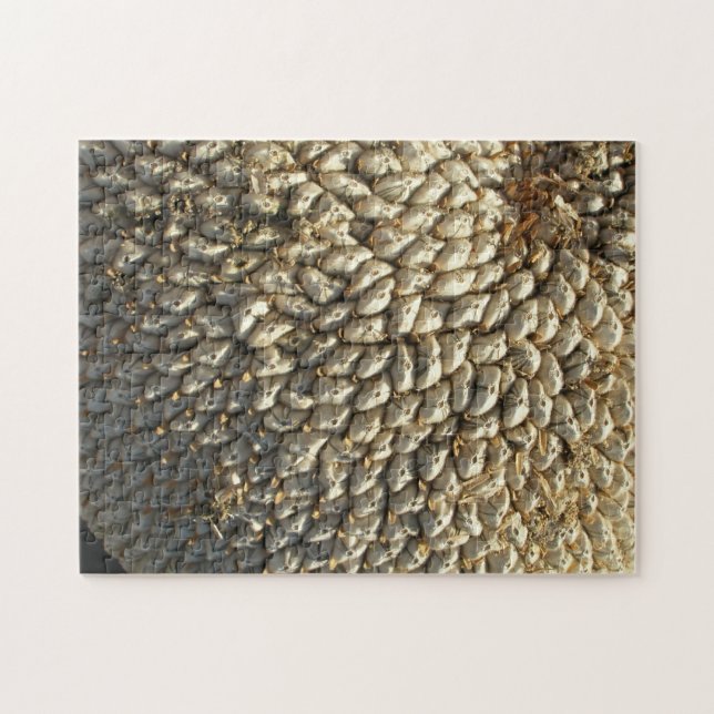 Quebra-cabeça - Desafio de girassol (Horizontal)