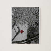 Descanso Cardeal na Neve