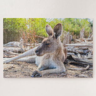 Quebra-cabeça Descanso de canguru australiano
