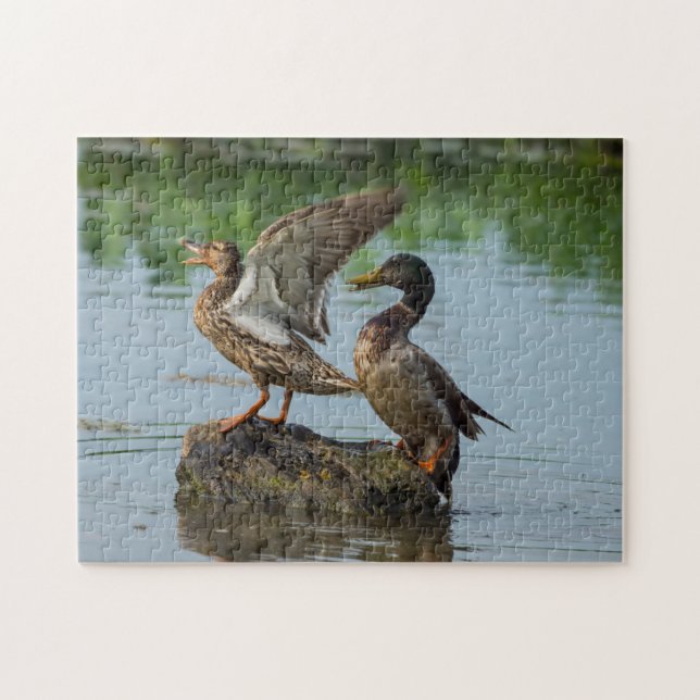 Quebra-cabeça Desculpe-me (Horizontal)