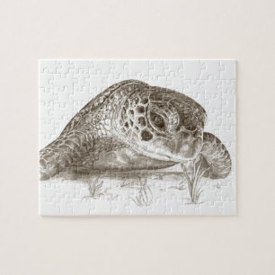 Quebra-cabeça Desenho da tartaruga de mar verde