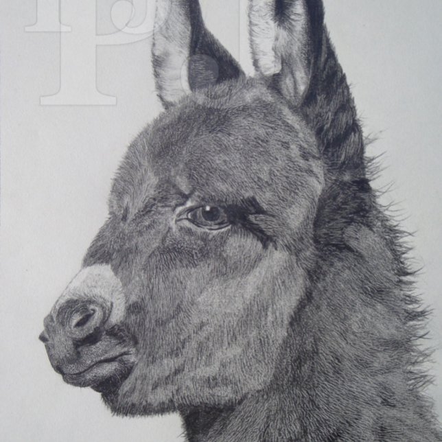 Quebra-cabeça desenho preto e branco semelhante à vida de burro  (Criador carregado)