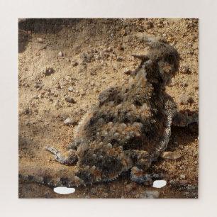 Quebra-cabeça Desert Horned Lizard Difícil