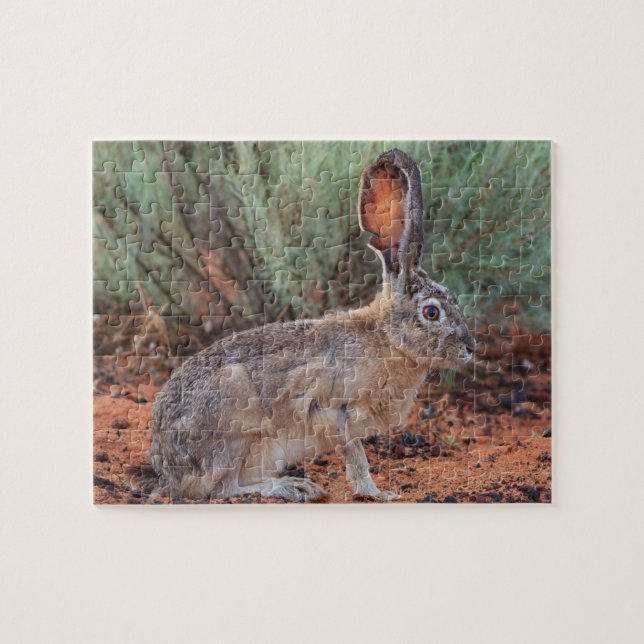 Quebra-cabeça Desert Jackrabbit (Horizontal)
