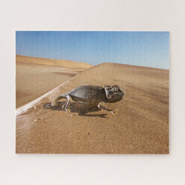Quebra-cabeça Desertos | Namaqua Chameleon no Deserto (Horizontal)