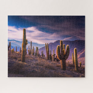 Quebra-cabeça Desertos   Paisagem Cactus Argentina