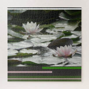 Quebra-cabeça Design Quebra-cabeça: Lindas Waterlillies Rosa