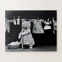 Dia de Lavanderia Divertido de Gato