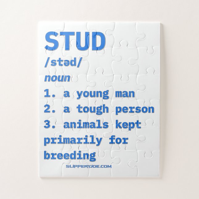 Quebra-cabeça Dicionário de animais de definição de stud do Slip (Vertical)