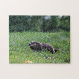 Quebra-cabeça Digger de Buraco do Diabo