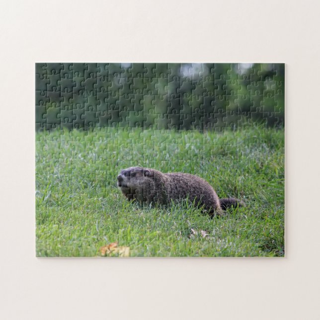 Quebra-cabeça Digger de Buraco do Diabo (Horizontal)