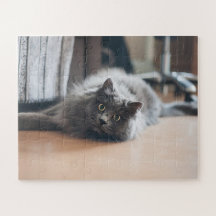 Diversão com Gato de Estimação Kit de Gatinho Pers