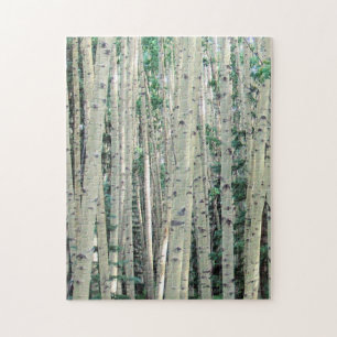 Quebra-cabeça do bosque da árvore de Aspen