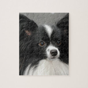 Quebra-cabeça do cão de Papillon