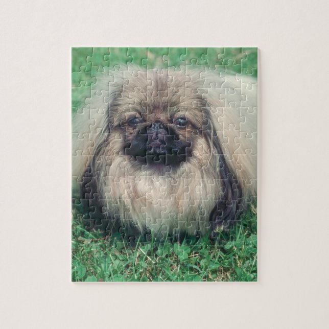 Quebra-cabeça do cão de Pekingese (Vertical)