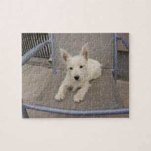 Quebra-cabeça do cão de Terrier branco de