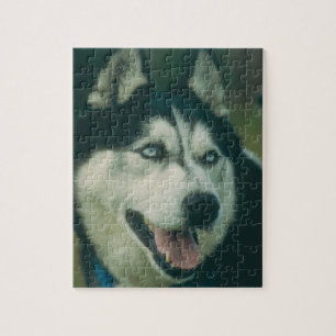 Quebra-cabeça do cão do rouco Siberian