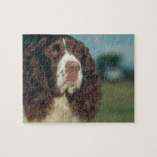Quebra-cabeça do cão do Spaniel de Springer