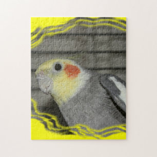 QUEBRA-CABEÇA do close up do Cockatiel