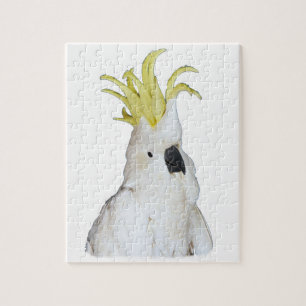 Quebra-cabeça do Cockatoo
