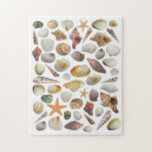 Quebra-cabeça do Coletor de Shell