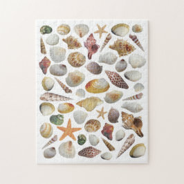 Quebra-cabeça do Coletor de Shell