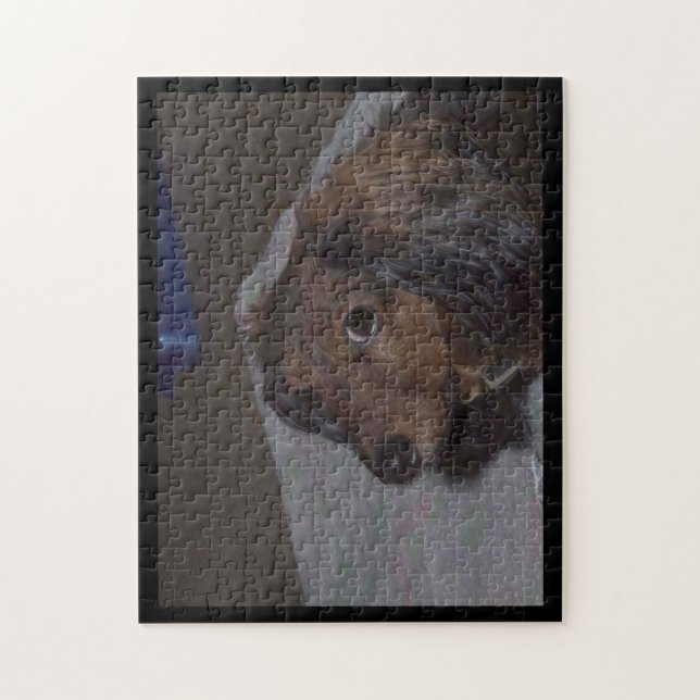 Quebra-cabeça do Dachshund de Cabelo Longo (Vertical)