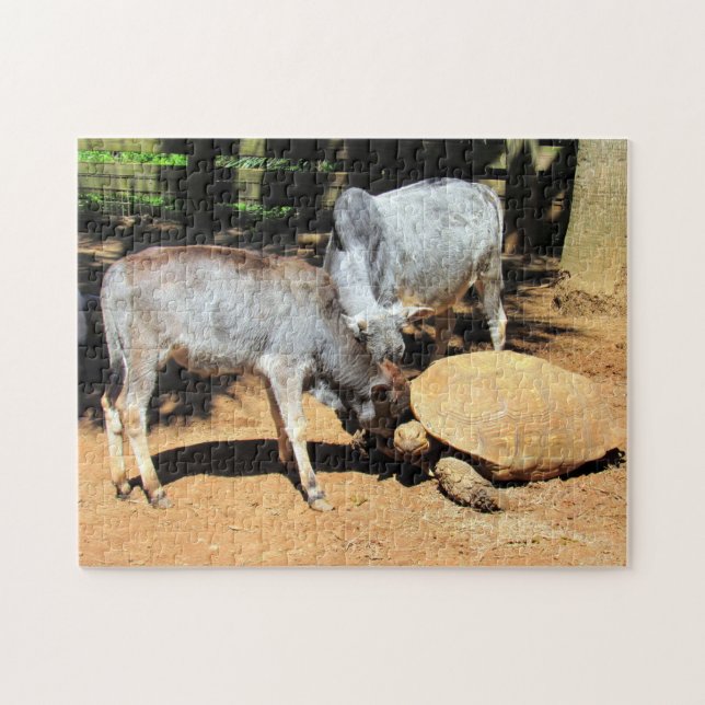 Quebra-cabeça do Dia Nacional Lick A Tortoise (Horizontal)